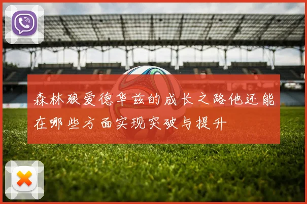 森林狼爱德华兹的成长之路他还能在哪些方面实现突破与提升