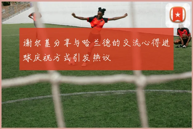 谢尔基分享与哈兰德的交流心得进球庆祝方式引发热议
