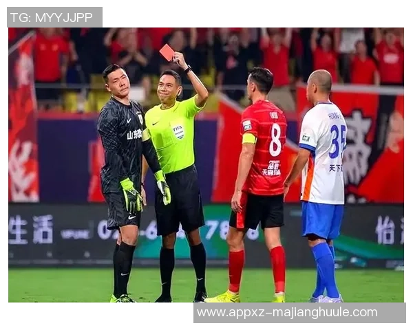 草皮质量堪忧王大雷呼吁大家共同维护主场草坪环境